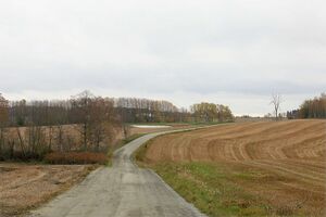 Ås Børsumveien 251020.jpg