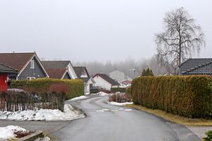 Ås Bjørnekroken 250225.jpg