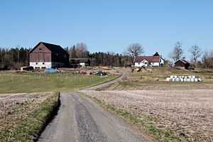 Ås Bjørnstadveien 260421 -1.jpg