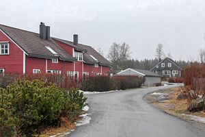 Ås Danskerud 250225.jpg