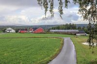 Nordre Fjeldstad gård nær grensen til Frogn, sett fra Fjeldstadveien. Foto: Leif-Harald Ruud (2025)