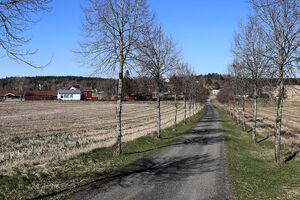 Ås Moer alle 260421.JPG