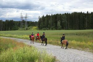 Ås Nøstvetveien 200709.JPG