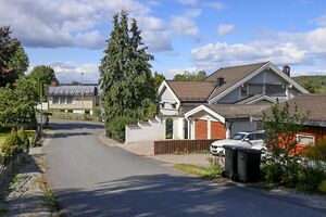 Ås Rypesnaret 250822.jpg