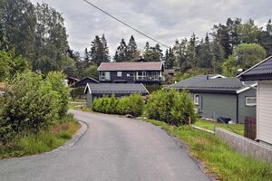 Ås Sjøskogenfaret 250624.jpg