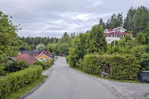 Ås Ulveleina 250624.jpg
