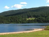 Tveitstøl (Åseral, gnr 14/1). Foto: Siri Johannessen (2013)