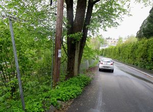 Åsjordet Oslo 2015.jpg