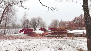 Åssiden Elvepark.jpeg