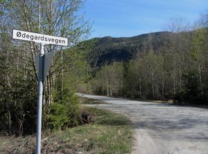 Ødegardsvegen Rollag 2014.jpg