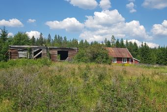 Øiungen under Skansgården i Kongsvinger kommune 2020.jpg