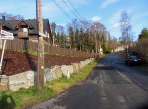 Økernveien Oslo 2013.jpg