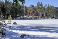 Plassen Skjerpeløkka ligger på Oslosiden av Ørfiske. Foto: Leif-Harald Ruud (2020).