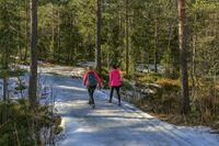 Fra turveien som forbinder Rotnes med Ørfiske. Foto: Leif-Harald Ruud (2020).
