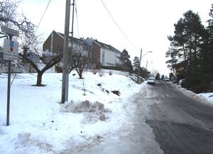 Østbyfaret Oslo 2015.jpg