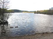 Østensjøvannet Oslo 2012.jpg