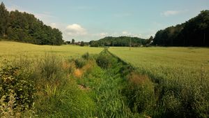 Østerøya Exmark 20160724.jpg