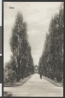 152. Østre Gravlund, Kristiania - no-nb digifoto 20151214 00010 bldsa PK12644.jpg