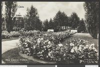 153. Østre Gravlund, Kristiania - no-nb digifoto 20151214 00011 bldsa PK12645.jpg