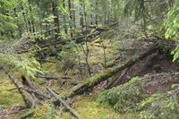 Ruinene av uthusbygningen.