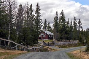 Østre Toten Anfinnsætervegen 250503.jpg