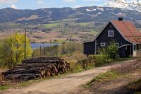 Parti fra den nordligste delen av Dyhrengutua. Foto: Leif-Harald Ruud (2023).