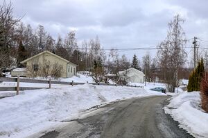 Østre Toten Holengutua 240309.jpg