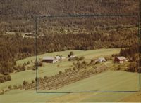 467. Østsiden - Skotselv WF402.jpg