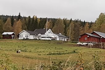 Øverby gnr. 77.26 Kongsvinger 2021.jpg