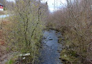 Øverlandselva Bærum ved Åsterudveien 2016.jpg