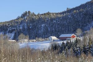Øvre Eiker Krekling-1 100213.jpg