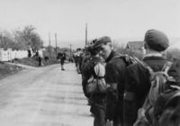 135. Øvre Eiker under andre verdenskrig (oeb-1935249.jpg