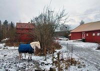 På Øvre Prinsdal gård finner vi et av bydelens mest populære samlingssteder for hesteinteresserte. Foto: Leif-Harald Ruud