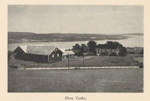 Øvre Torke.jpg
