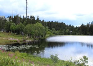 Øvresetertjern Oslo 2015.jpg