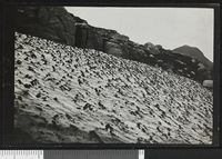 90. ... (1100m aus ... des Bitihorn von Hotel Bygdin - no-nb digifoto 20160331 00072 bldsa NGU0137.jpg