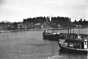 001 Jakt Kristiane III og reketrålere i Filtvet havn.jpg