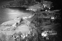 Vikane. Sett frå Ytre Høydal