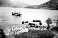 Sildelevering på Høydalsneset