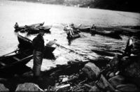 Sildelevering på Høydalsneset