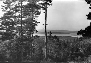 0217 0280005 Utsikt fra Grønliåsen.jpg