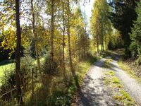 Nyveien forbi Veltberget til Monslykkja.