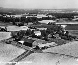 0417-06038 Hosmestad flyfoto.jpg