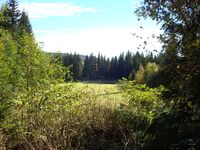 Sørhaugen, gammel plass; senere tillagt Lillebergshagen.