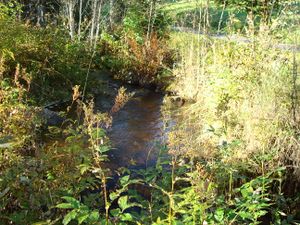 05a-Kindsbekkbekken Næroset.JPG