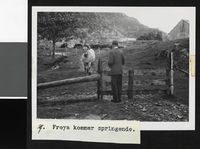 204. 1. Freya kommer springende - no-nb digifoto 20151123 00004 blds 03024.jpg