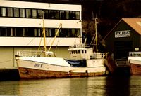 Feiebjørn H-1-FE, tidlegare Nybør har fått ny eigar frå 1994.