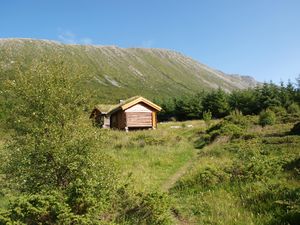 10068 Gullsteinvollen.jpg