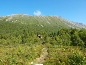 10075 Gullsteinvollen.jpg