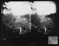 31. 104 ny. Hattfjelldalen. Fiskløselv. Tømmerfløtning. Stereoskop - NB bldsa OTO0195 A.jpg